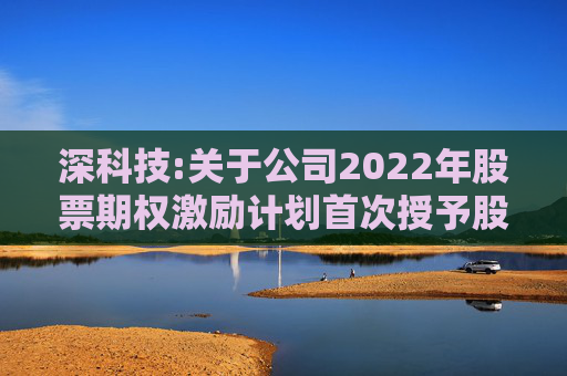 深科技:关于公司2022年股票期权激励计划首次授予股票期权第一个行权期行权条件成就的公告  第1张