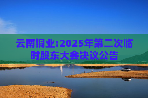 云南铜业:2025年第二次临时股东大会决议公告