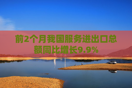 前2个月我国服务进出口总额同比增长9.9%  第1张