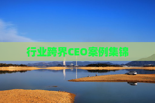 行业跨界CEO案例集锦  第1张