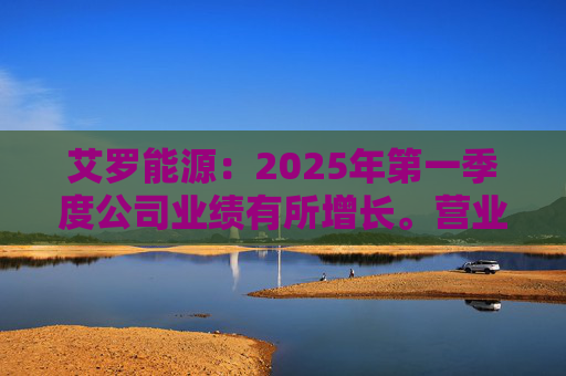 艾罗能源：2025年第一季度公司业绩有所增长。营业收入为7.99亿元