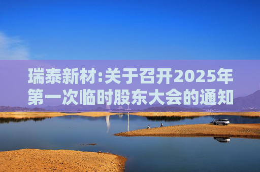 瑞泰新材:关于召开2025年第一次临时股东大会的通知  第1张