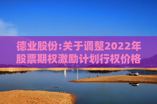 德业股份:关于调整2022年股票期权激励计划行权价格及数量的公告