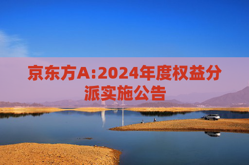 京东方A:2024年度权益分派实施公告  第1张