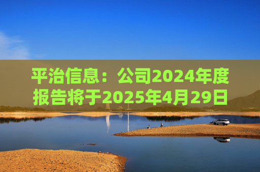 平治信息：公司2024年度报告将于2025年4月29日披露  第1张