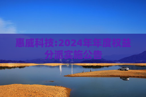 惠威科技:2024年年度权益分派实施公告  第1张