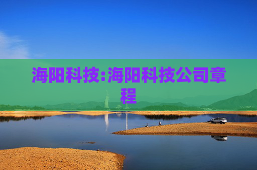 海阳科技:海阳科技公司章程