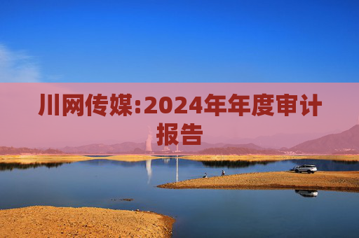 川网传媒:2024年年度审计报告