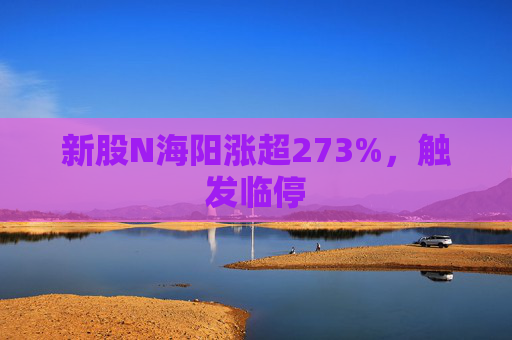 新股N海阳涨超273%,触发临停