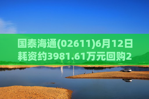 国泰海通(02611)6月12日耗资约3981.61万元回购214.992万股A股