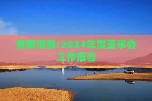 蒙泰高新:2024年度董事会工作报告