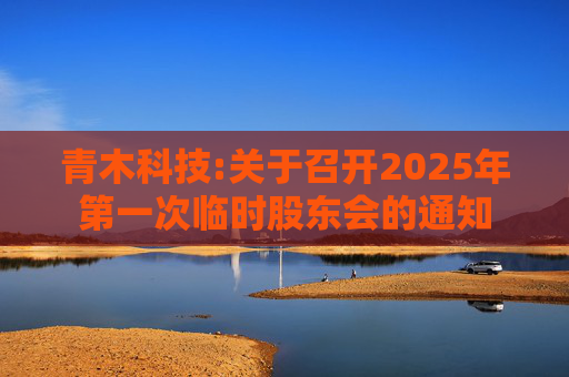 青木科技:关于召开2025年第一次临时股东会的通知