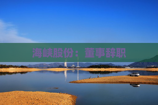 海峡股份：董事辞职