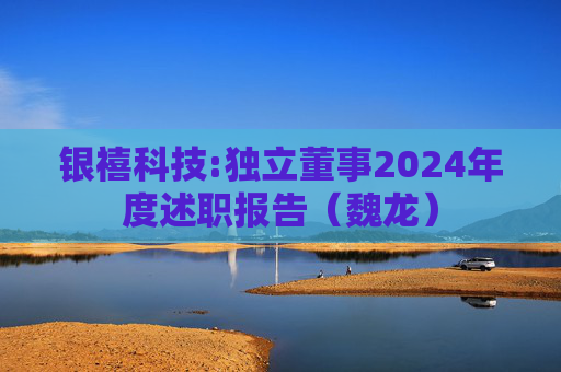 银禧科技:独立董事2024年度述职报告（魏龙）  第1张
