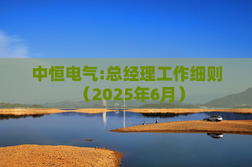 中恒电气:总经理工作细则（2025年6月）  第1张