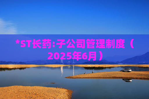 *ST长药:子公司管理制度(2025年6月)