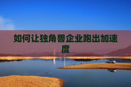 如何让独角兽企业跑出加速度