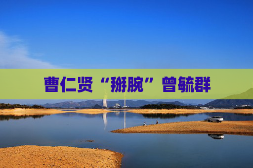 曹仁贤“掰腕”曾毓群  第1张