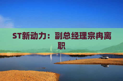 ST新动力:副总经理宗冉离职