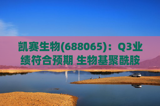凯赛生物(688065):Q3业绩符合预期 生物基聚酰胺复材商业化持续推进 第1张 凯赛生物(688065):Q3业绩符合预期 生物基聚酰胺复材商业化持续推进 第1张