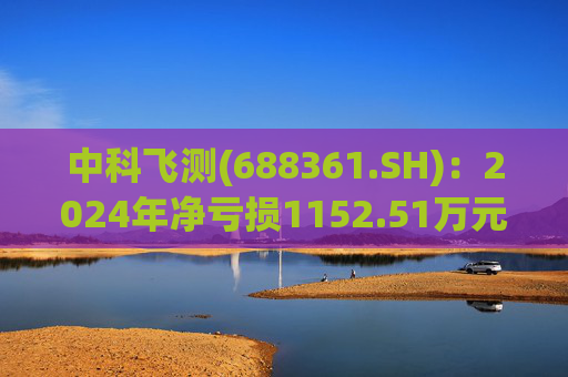 中科飞测(688361.SH)：2024年净亏损1152.51万元