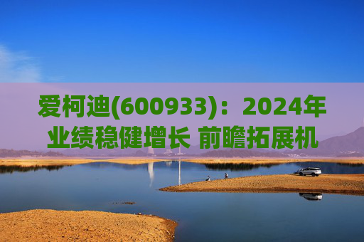 爱柯迪(600933)：2024年业绩稳健增长 前瞻拓展机器人相关业务