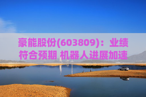 豪能股份(603809):业绩符合预期 机器人进展加速