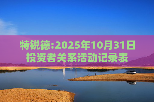 特锐德:2025年10月31日投资者关系活动记录表