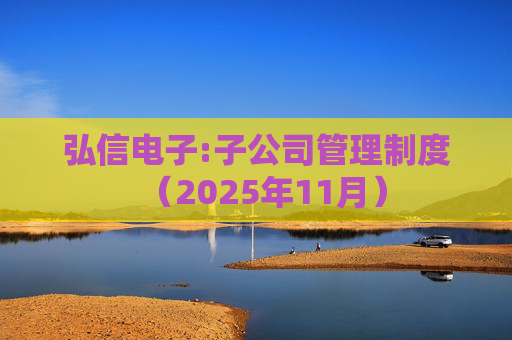 弘信电子:子公司管理制度（2025年11月）