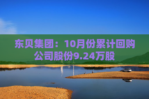 东贝集团：10月份累计回购公司股份9.24万股  第1张