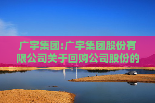 广宇集团:广宇集团股份有限公司关于回购公司股份的进展公告