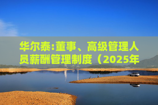 华尔泰:董事、高级管理人员薪酬管理制度(2025年11月)