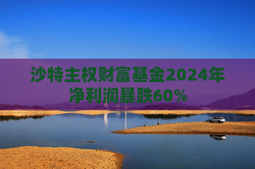 沙特主权财富基金2024年净利润暴跌60%
