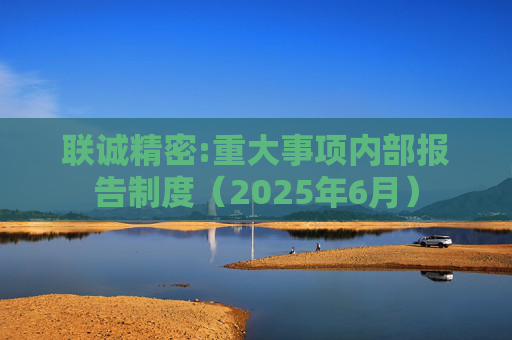 联诚精密:重大事项内部报告制度（2025年6月）  第1张