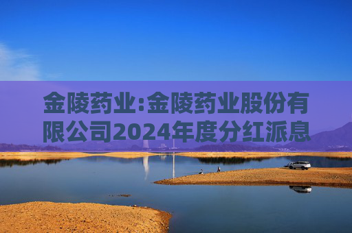 金陵药业:金陵药业股份有限公司2024年度分红派息实施公告