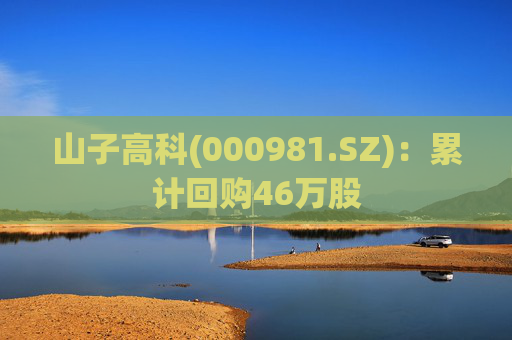 山子高科(000981.SZ)：累计回购46万股
