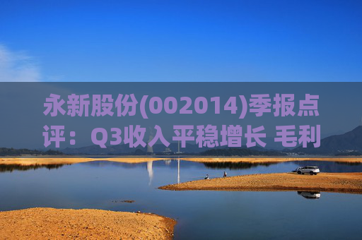 永新股份(002014)季报点评:Q3收入平稳增长 毛利率企稳回升