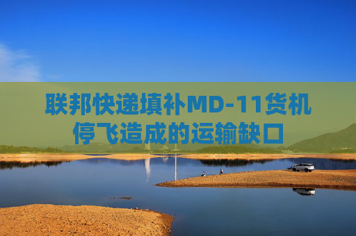联邦快递填补MD-11货机停飞造成的运输缺口  第1张