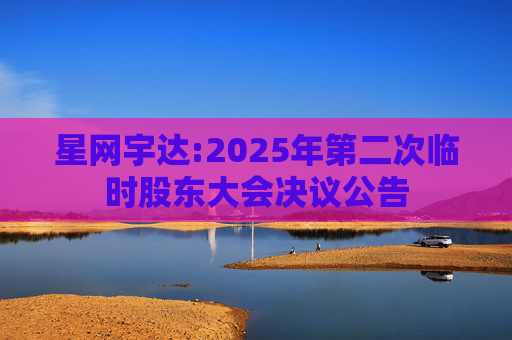 星网宇达:2025年第二次临时股东大会决议公告  第1张