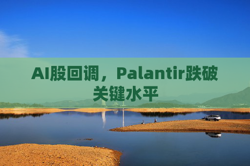 AI股回调,Palantir跌破关键水平