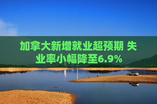 加拿大新增就业超预期 失业率小幅降至6.9%