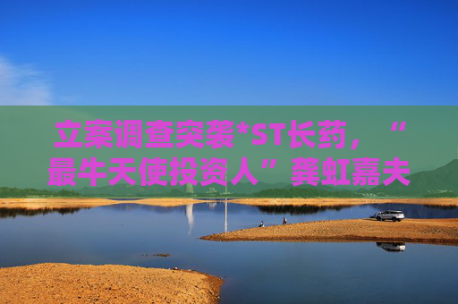 立案调查突袭*ST长药,“最牛天使投资人”龚虹嘉夫妇5.93亿元投资再临挑战 第1张 立案调查突袭*ST长药,“最牛天使投资人”龚虹嘉夫妇5.93亿元投资再临挑战 第1张