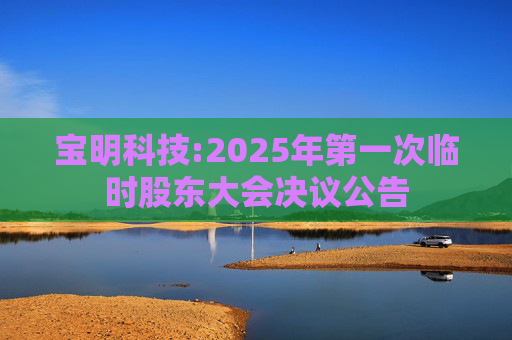 宝明科技:2025年第一次临时股东大会决议公告