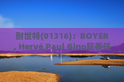 耐世特(01316):BOYER, Hervé Paul Gino获委任为执行董事