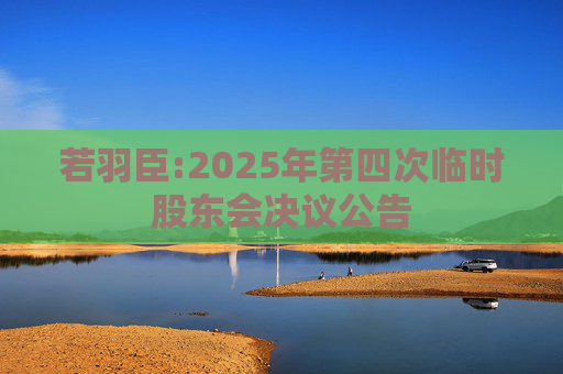 若羽臣:2025年第四次临时股东会决议公告  第1张