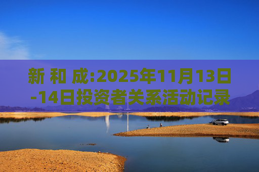 新 和 成:2025年11月13日-14日投资者关系活动记录表