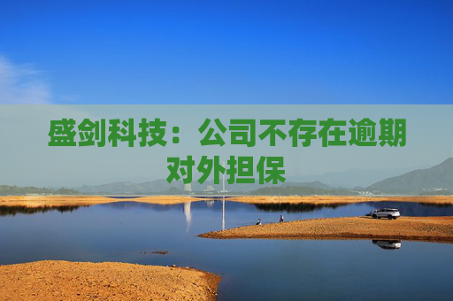 盛剑科技：公司不存在逾期对外担保