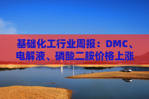 基础化工行业周报：DMC、电解液、磷酸二胺价格上涨 关注反内卷和铬盐