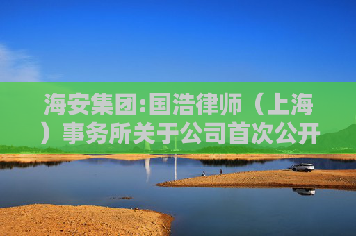海安集团:国浩律师(上海)事务所关于公司首次公开发行股票并在主板上市的法律意见书