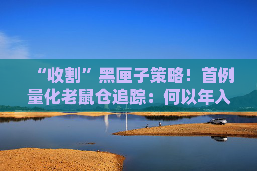 “收割”黑匣子策略!首例量化老鼠仓追踪:何以年入8857万?